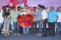 Ye Rojaithey Choosano Movie Audio Launch